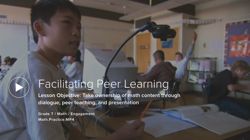 Facilitating Peer Learning