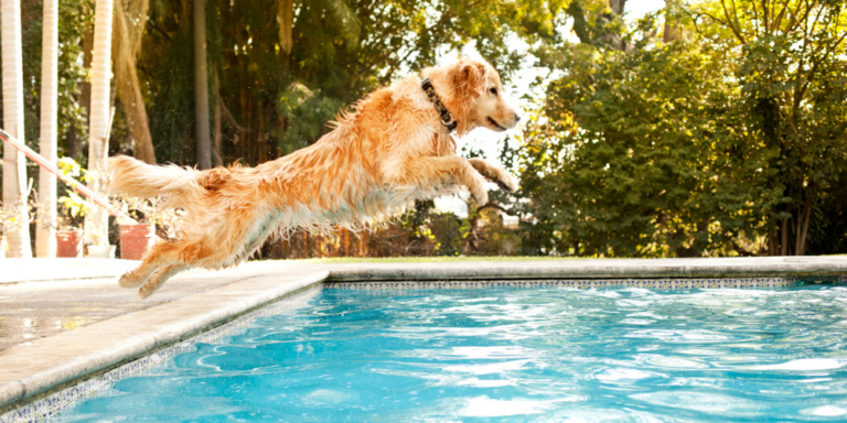 Dive into Summer Learning with Our Upskilling Ideas