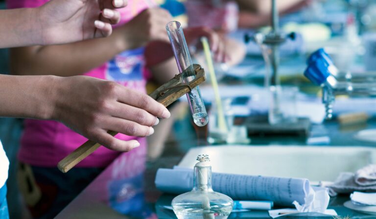 Fall Into Phenomena: Using NGSS to Harvest Student Investigations