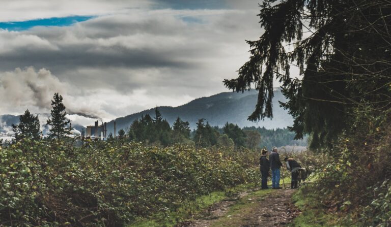 Ecosystems: An NGSS-Designed Unit
