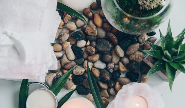 Practices in Action: Ecobottles as a Model Ecosystem