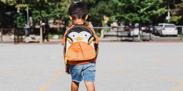 Little Boy In School Bag