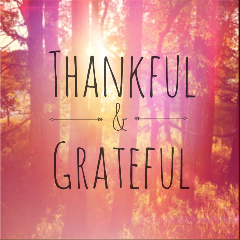 Happy Thanksgiving from Learners Edge!