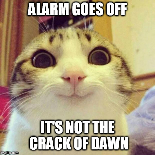 Alarm Goes Off