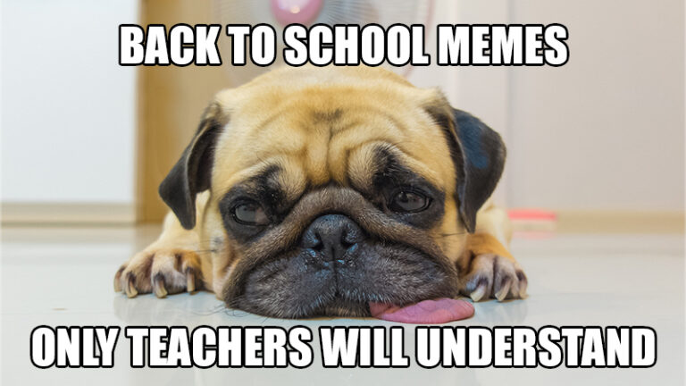 Back to school memes