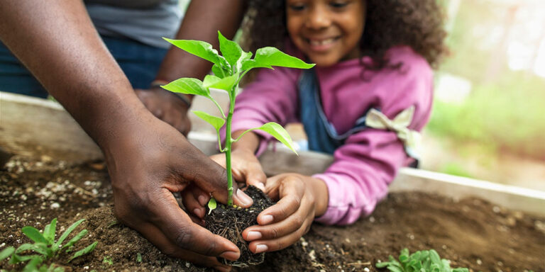 Classroom Gardening Made Easy
