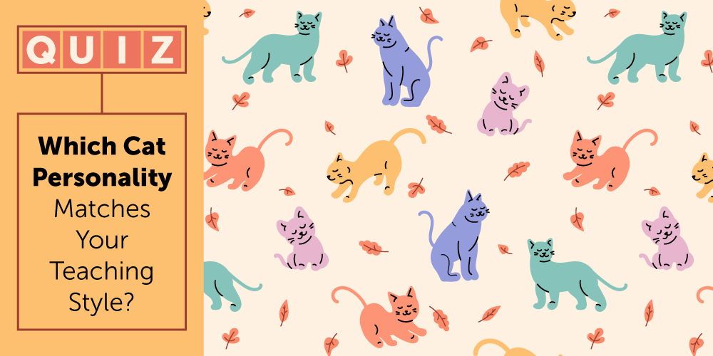 Cat personality matches your teaching style