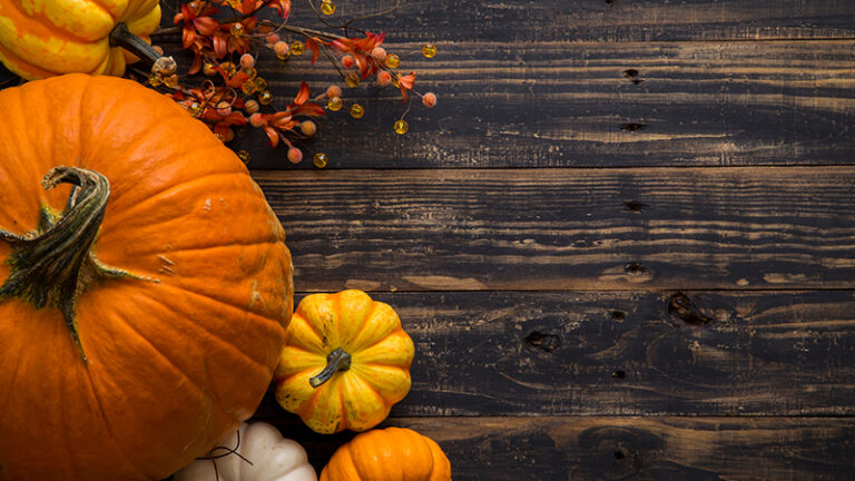 Unique days to celebrate in november