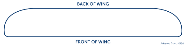 Wing Diagram